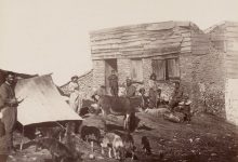 Köpekler Guillaume Berggren