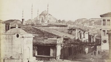 Fatih’te bir Çeşme ve Süleymaniye / Guillaume Berggren Fotoğrafı / 1870