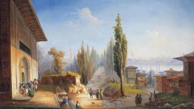 Istanbul, 19th Century

                            ...