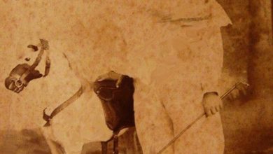 An Ottoman Child, c1900
Bir Osmanlı Çocuğu, 1900c

                     ...