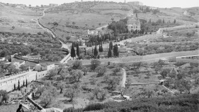 Jerusalem, Palestine, 1900s
Kudüs, Filistin, 1900'ler

                        ...