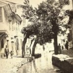 İzmir, 1900s

                       ...