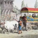 Istanbul, 19th Century

                       ...