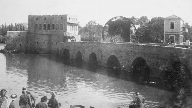 1899 
Hama,  1899 
                          ...