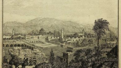 Türk Kenti Tarsus'A Bakan Manzara