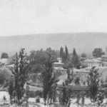 1900s

                    ...