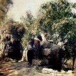 A Fountain Bursa, 1913
Bursa'da Bir Çeşme, 1913

                            ...