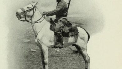 A Gendarme in the Countryside of Erzurum, 1911
Erzurum Kırsalında Bir Jandarma, ...