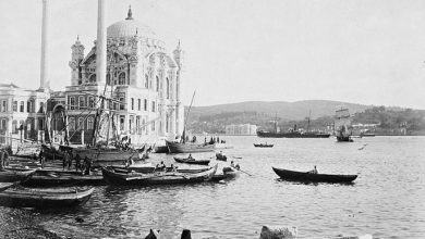 A Man Feeding Stray Dogs, Istanbul, 1890s
Sokak Köpeklerini Besleyen Adam, İstan...
