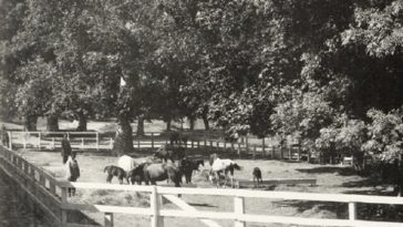 An Imperial Horse Farm in Kağıthane, Istanbul, c1900 
Kağıthane'de Bir Osmanlı A...