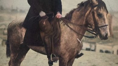 An Ottoman  1910s
Bir Osmanlı Atlısı, 1910'lar

                             ...