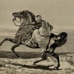 An Ottoman Horseman, 1873 
Bir Osmanlı Atlısı, 1873

                    ...