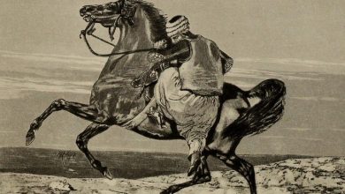 An Ottoman Horseman, 1873 
Bir Osmanlı Atlısı, 1873

                    ...