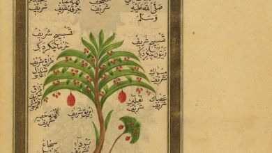 An Ottoman Manuscript Page, c1850
Bir Osmanlı El Yazması Sayfası, 1850c
.
Love h...