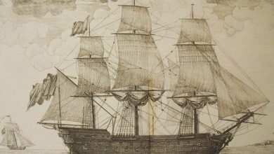 An Ottoman Ship, Late 18th Century
Bir Osmanlı Gemisi, 18. Yüzyıl Sonu
.
Love hi...