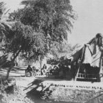 An Ottoman coffeehouse in Abu Al-Khaseeb, Vilâyet-i Basra (Iraq), March, 1917.
...