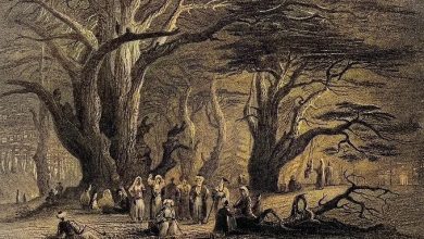 Ancient Cedars of Lebanon, 1836
Lübnan'ın Asırlık Sedir Ağaçları, 1836.
.
Love h...