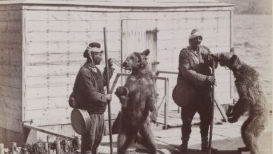 Ayı Oynatıcıları Sébah & Joaillier