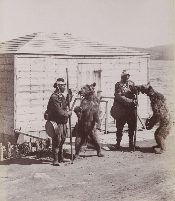 Ayı Oynatıcıları Sébah & Joaillier