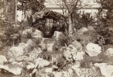 Basile Kargopoulo Fotoğrafı 1875