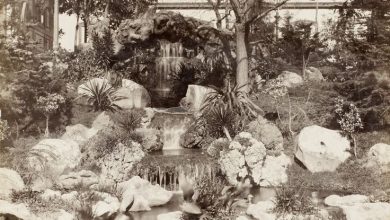 Basile Kargopoulo Fotoğrafı 1875