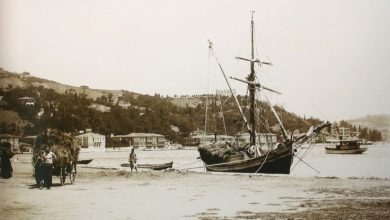 Bebek Sahili / 1880Guillaume Berggren