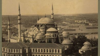 Beyazıt Kulesi'nden Süleymaniye Sébah & Joaillier  1888-1910 LOC arşivi