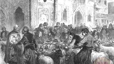 Kurban Bayramı İçin Koyun Alma