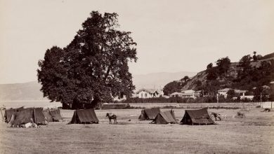 Büyükdere Guillaume Berggren