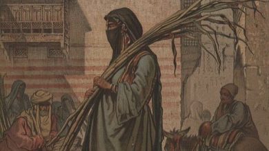 Cairo, Egypt, 1862
Kahire, Mısır, 1862.
.
Love history? Become one of our patron...