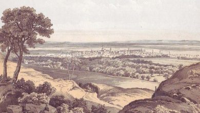 Damascus, Syria, 1860s 
Şam, Suriye, 1860'lar

                        ...