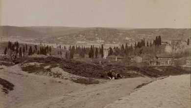 Eğrikapı Dışındaki Mahalle, Tokmaktepe ve Arka Planda Halıcıoğlu / Guill...