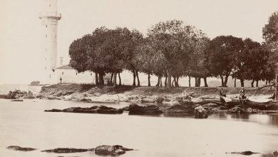 Fenerbahçe Guillaume Berggren