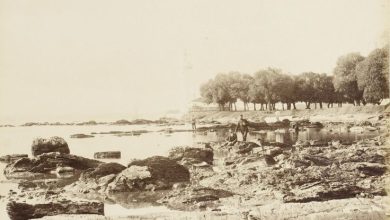 Fenerbahçe Sébah & Joaillier Fotoğrafı