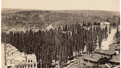Galata Kulesi’nden Panorama - 10 Basile Kargopoulo, 1870’ler