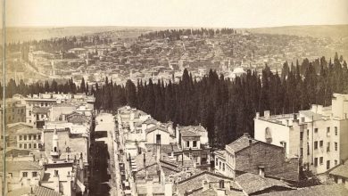 Galata Kulesi’nden Panoramik Görünüm - 10 Guillaume Berggren, 1875