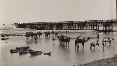 Gediz Nehri - Manisa Yakınları / Sébah ve Joaillier Fotoğrafı / 1890'la...