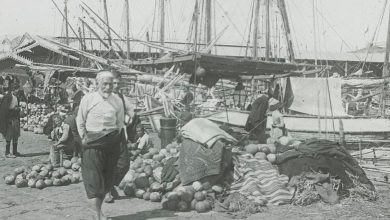 Izmir Port, 1900s
İzmir Limanı, 1900'ler

                     ...