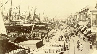 Izmir Port, c1890
İzmir Limanı, 1890c

                       ...
