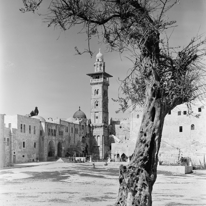Jerusalem, Palestine, 1900s
Kudüs, Filistin, 1900'ler

                      ...