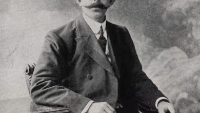 Şehzade Mehmed Vahideddin Efendi