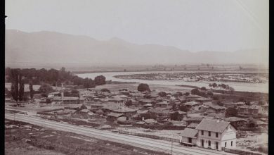 Mekece Tren İstasyonu, Pamukova-Sakarya / 1870'ler / G.Berggren Fotoğrafı...