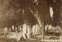 Mezarlık / Guillaume Berggren Fotoğrafı | Eski İstanbul Fotoğrafları Arşi...