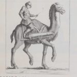 Bir Osmanlı Hecinsüvar Topçu