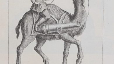 Bir Osmanlı Hecinsüvar Topçu