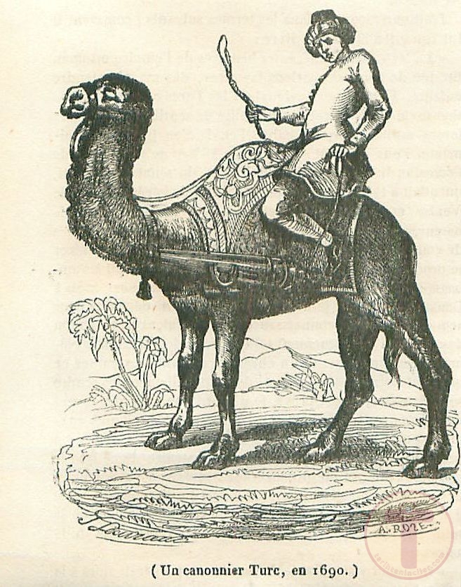 Bir Osmanlı Hecinsüvar Topçu