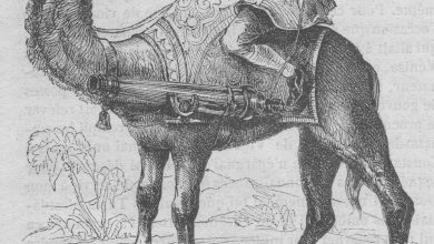 Bir Osmanlı Hecinsüvar Topçu