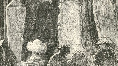 Bir Osmanlı Aile Mezarlığı