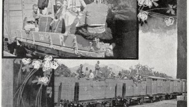 İzmir'de Trenle İncir Mahsulünün Taşınması