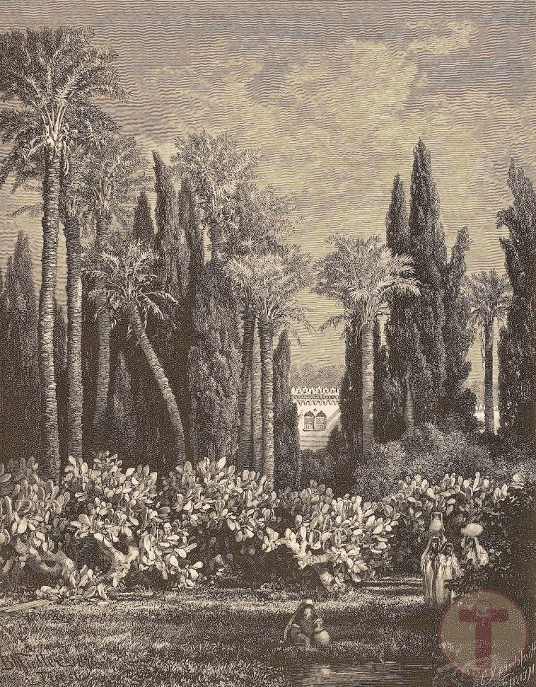Mısır'da Bir Bahçe